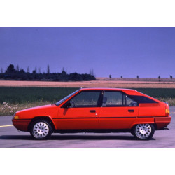 Reparaturbleche für Citroen BX